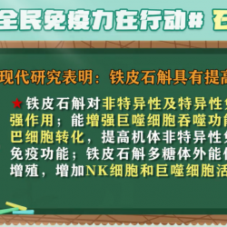 森山铁皮枫斗石斛提高免疫力科普